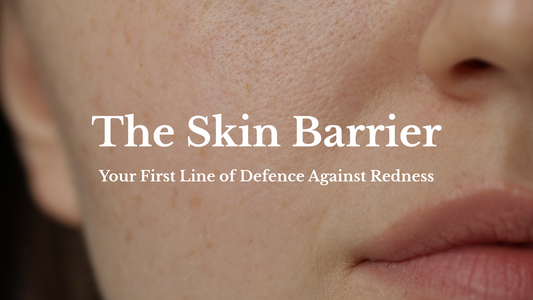 The Skin Barrier