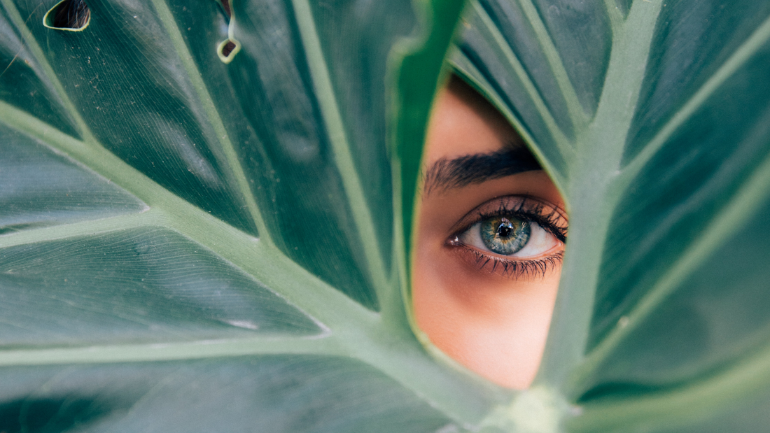 The Potential Health Effects of Chemical Ridden Skincare Products - Vayda Organics