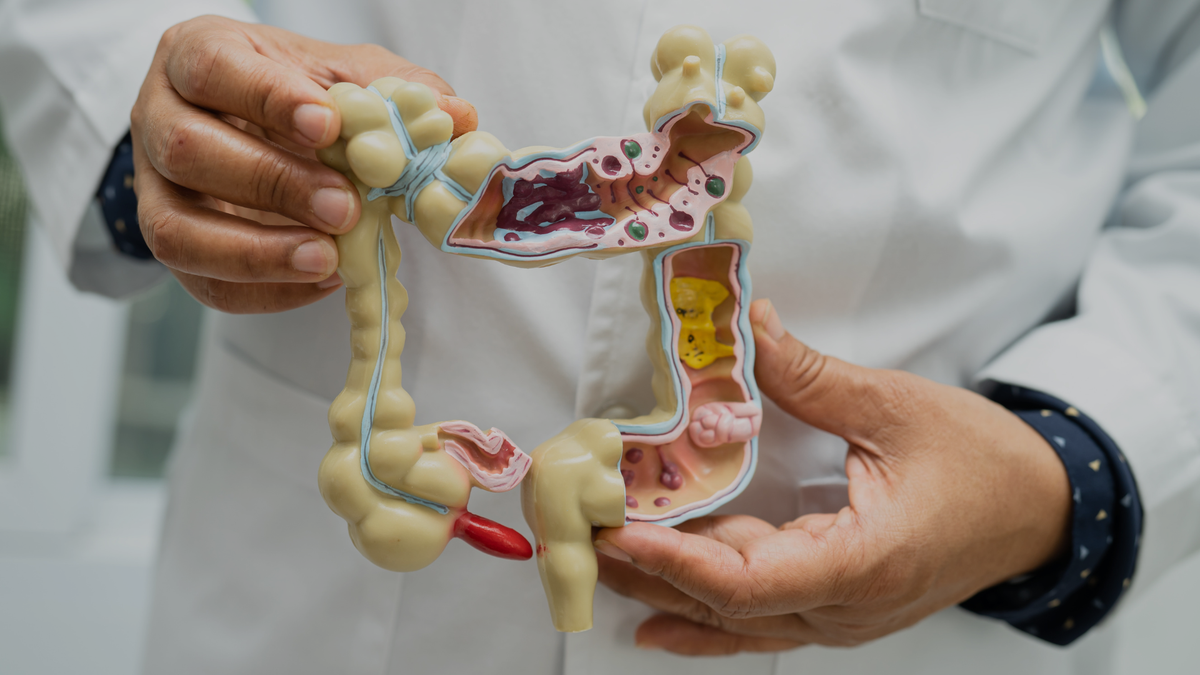 The Gut-Skin Connection