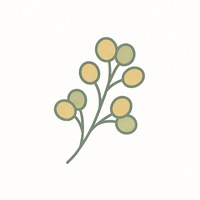 Frankincense Essential Oil