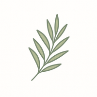 Tea Tree Essential Oil