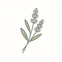 Lavender Essential Oil